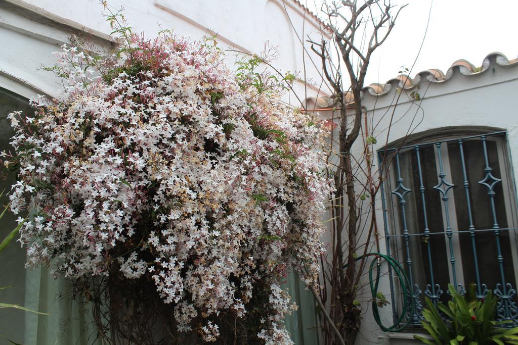 فيلا Casa Colonia La Línea de la Concepción المظهر الخارجي الصورة